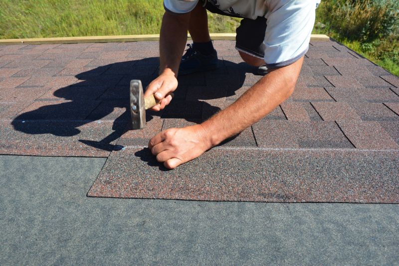 Professional Roof Inspection