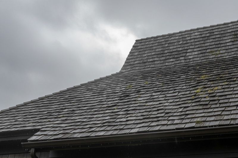 Wood Shake Roof Replacement